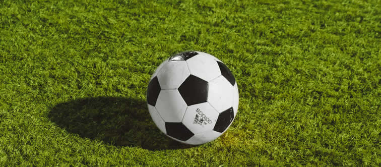Could you tell us what this bouncy friend is?